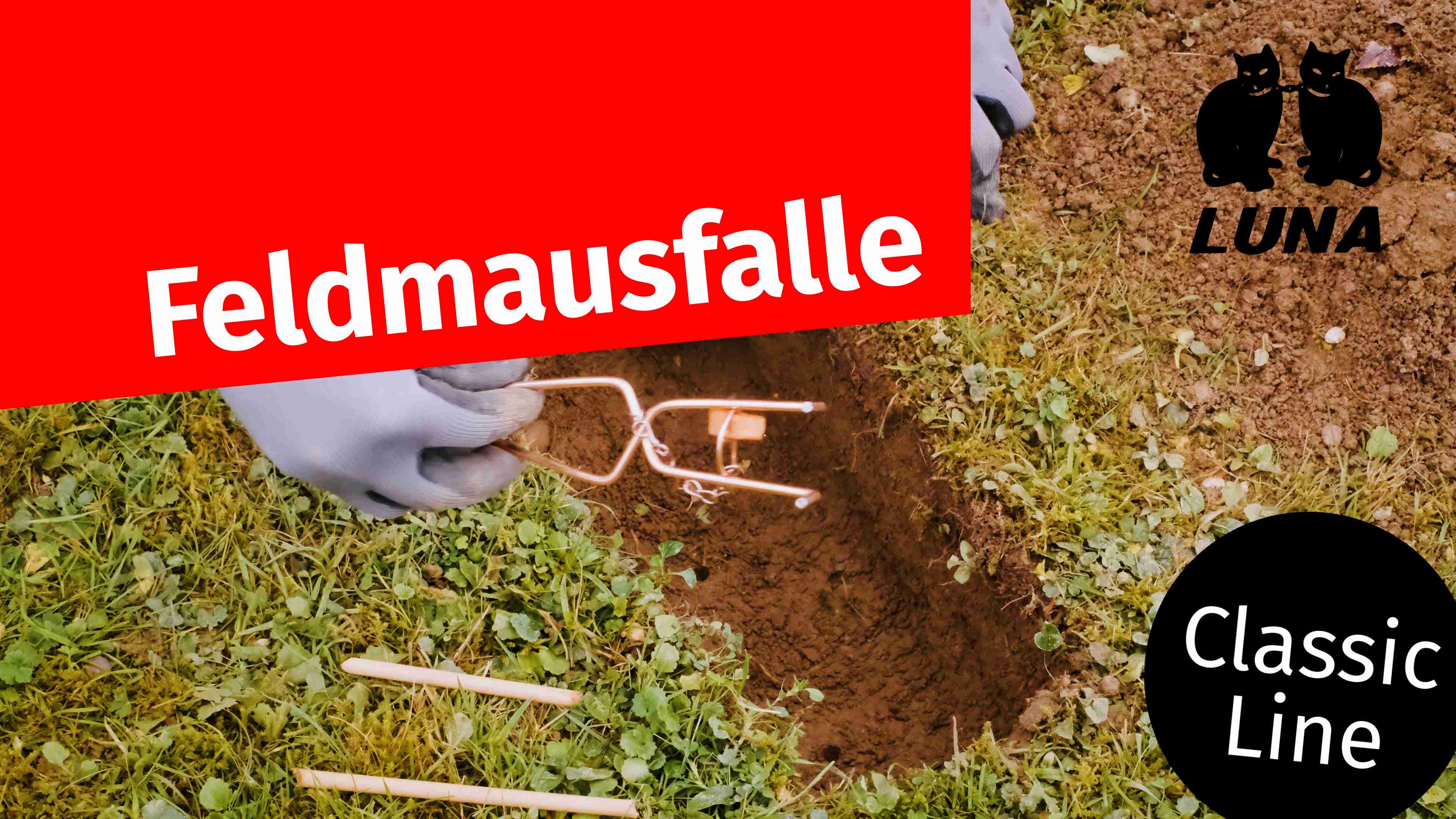 Feldmausfalle aufstellen: Einfache Videoanleitung